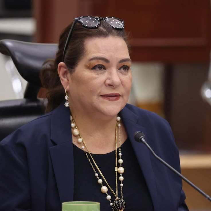 Monreal respalda a Taddei y pide investigar presunto conflicto de interés en el INE