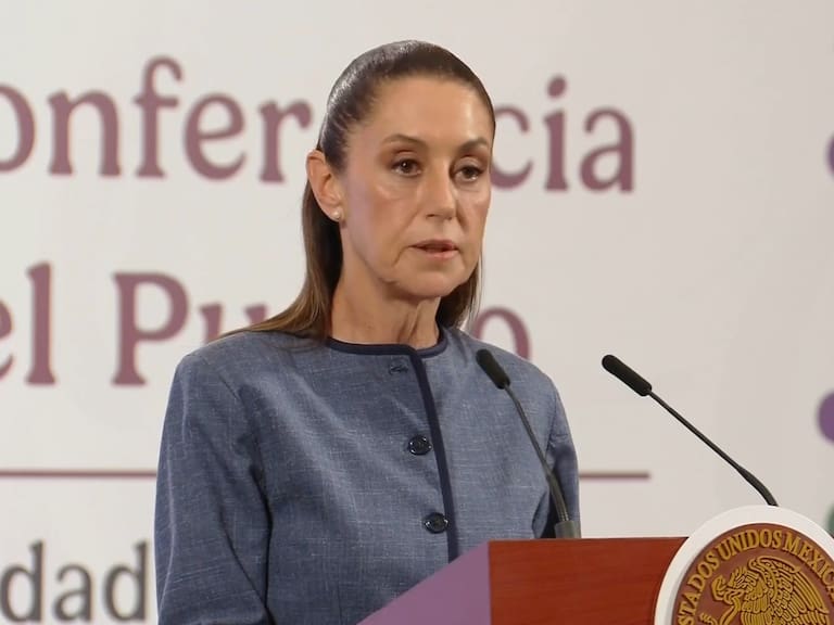 La presidenta dio a conocer su postura ante redadas masivas y llamó a os mexicanos a transitar por la vía del orden.