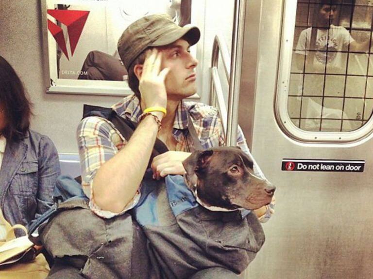 Metro de NY prohíbe el acceso a perros a menos de que vayan en una bolsa y los usuarios así respondieron