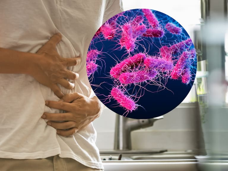 Brote de Salmonella: las señales que provoca y el tiempo que puede durar la infección. Getty Images