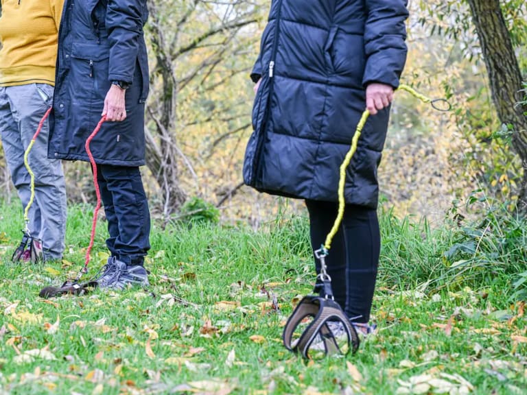 Perros invisibles en Alemania: qué es el Hobby Dogging y por qué miles están paseando mascotas imaginarias en 2026