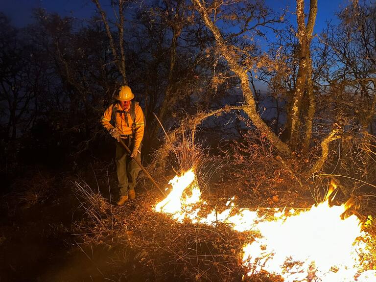 En el país se registran 124 incendios forestales