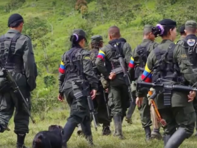 Las FARC entregan a Cruz Roja jóvenes provenientes de sus campamentos