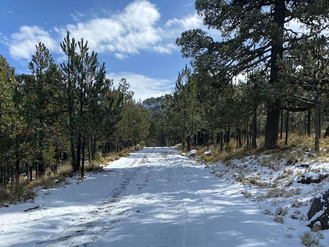 Cae la primera nevada de la temporada en Veracruz