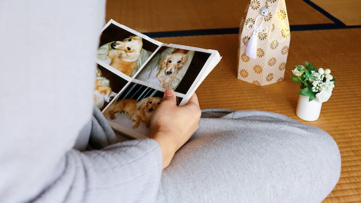 10 herramientas para afrontar el duelo cuando pierdes a una mascota