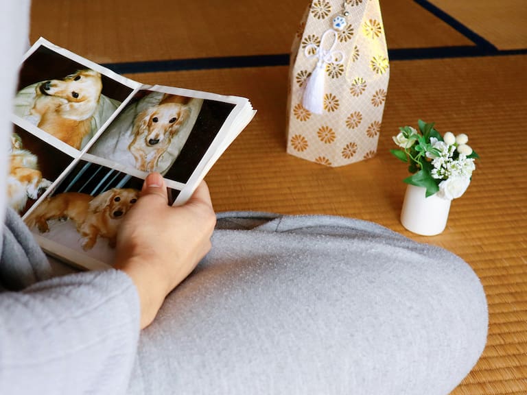 MX- Te compartimos 10 herramientas de tanatología compartidas en el programa de Martha Debayle para validar tu dolor y sanar el corazón