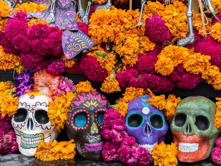 Conoce el origen del cempasúchil y su significado en las ofrendas mexicanas