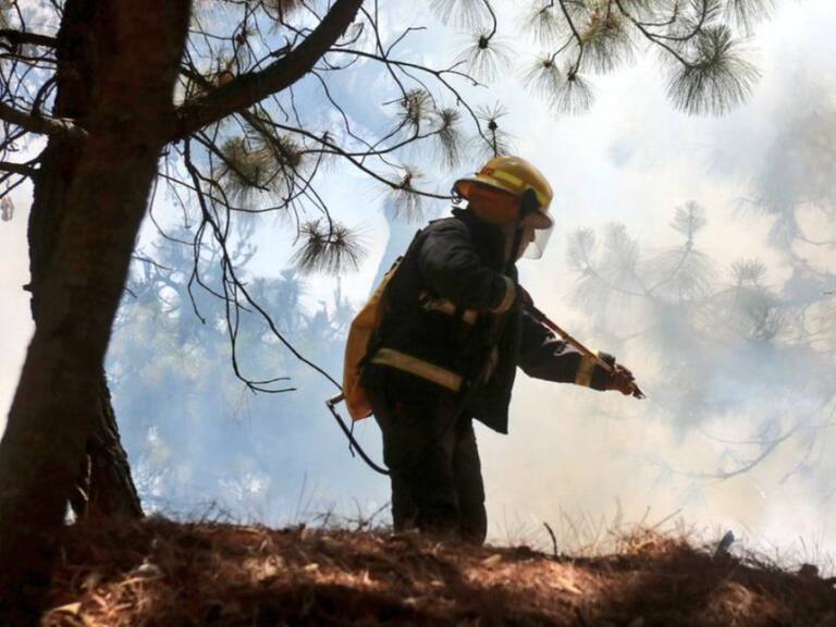Se registra incendio en el bosque del Nixticuil