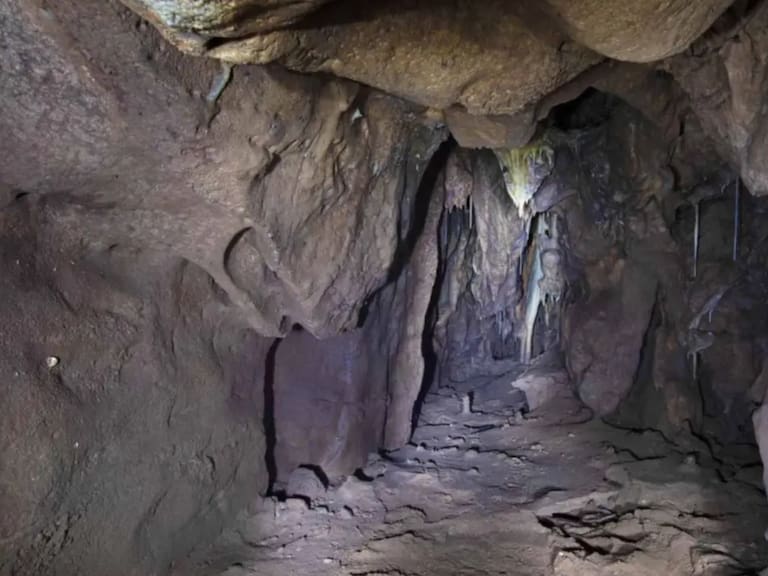Mx - Descubren cueva intacta de hace 40,000 años: así vivían los neandertales