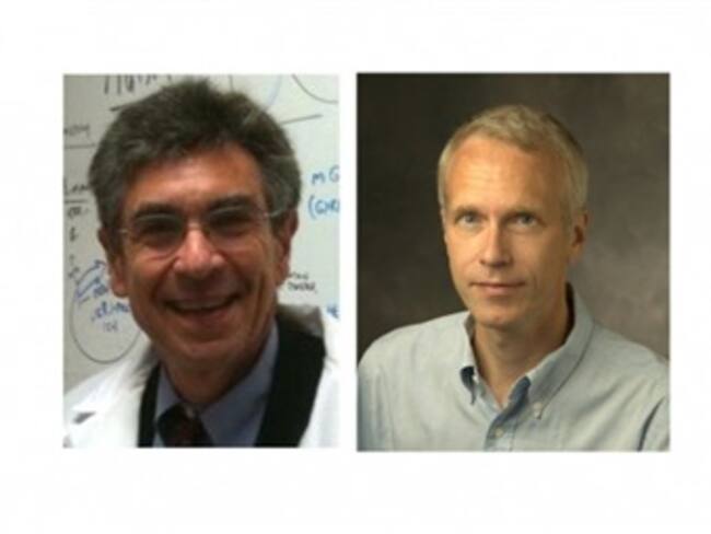 Otorgan Nobel de Química a estadounidenses