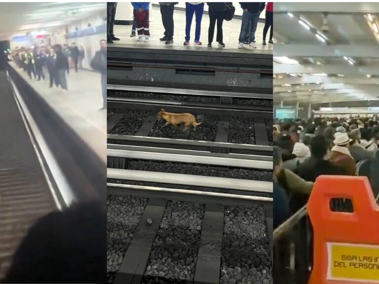Línea 2 del metro tiene retrasos por rescate de un perrito