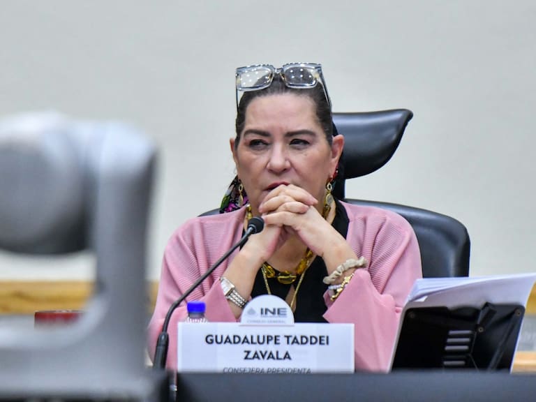 Guadalupe Taddei Zavala, consejera presidenta del Instituto Nacional Electoral.