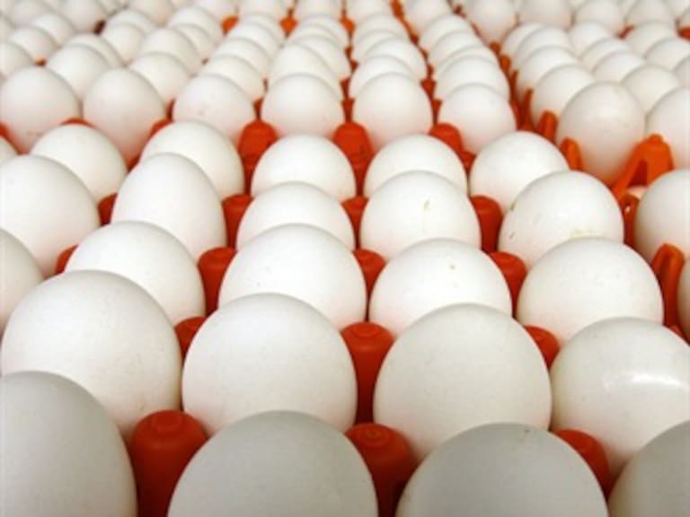 Los productores no han elevado precio del huevo: diputada PRI