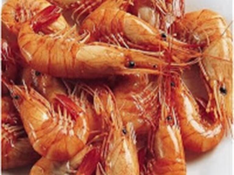 Descarta Sagarpa riesgo en consumo de camarón