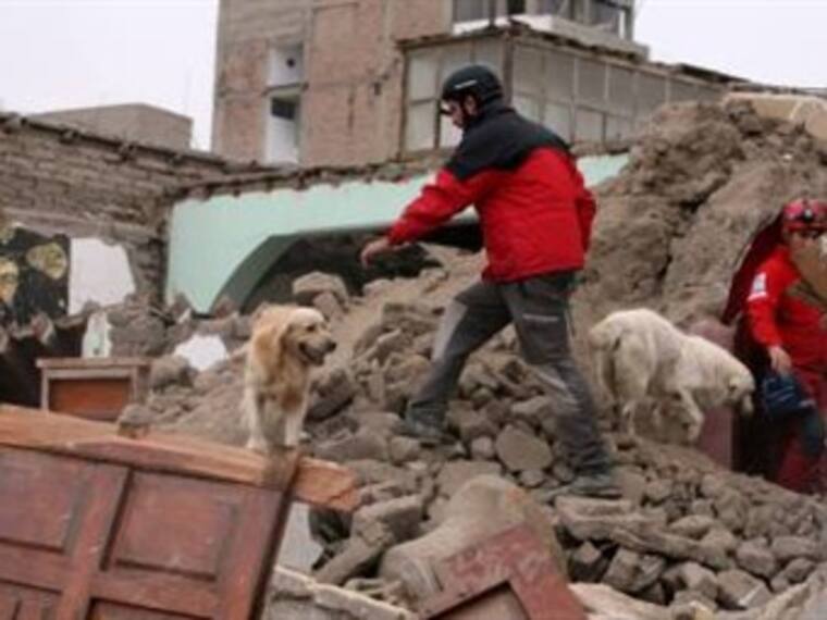 Regresarán Los Topos a Haití