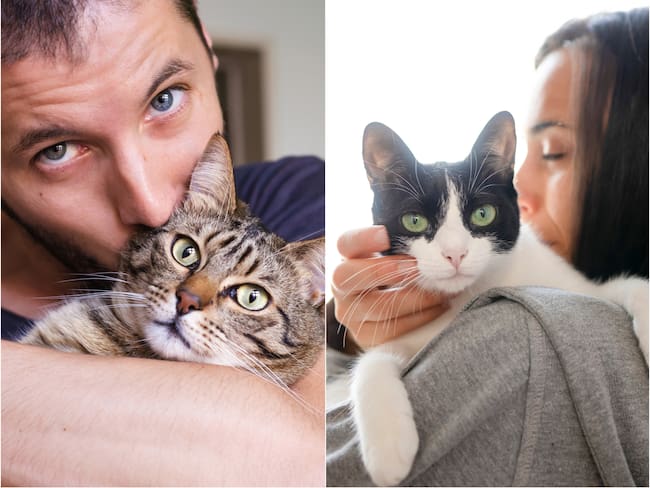 La razón por la que los gatos le maúllan más a los hombres que a las mujeres: No es por amor