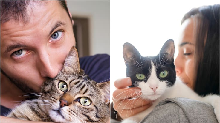 La razón por la que los gatos le maúllan más a los hombres que a las mujeres: No es por amor