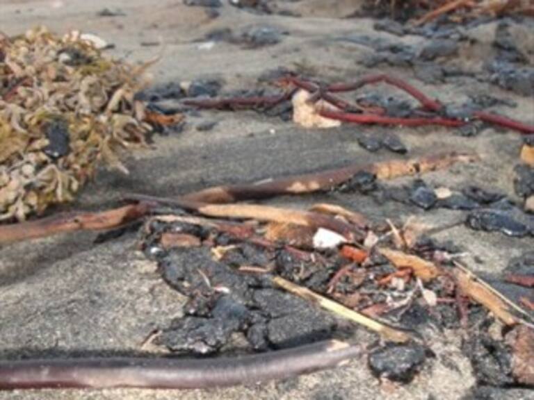 Contaminadas 11 playas en Tabasco