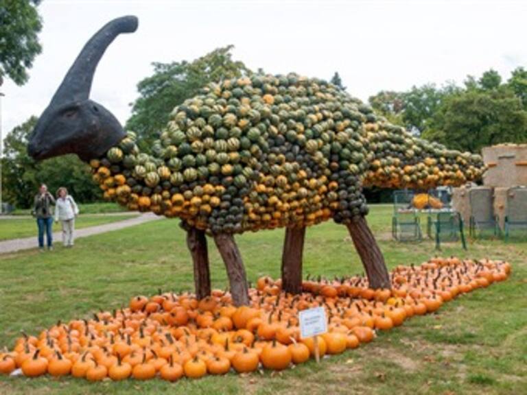 Crean gigantescos dinosaurios con puras calabazas