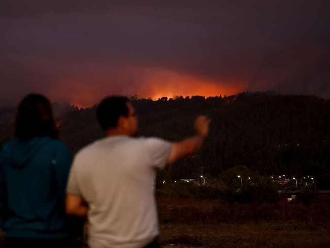 Incendios forestales en Chile dejan 18 muertos: SRE descarta mexicanos afectados por el fuego