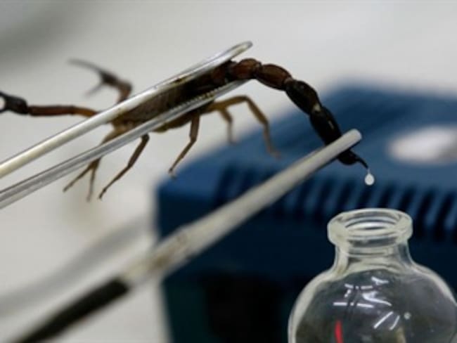 Anticonceptivo para hombres a base de veneno de alacrán.'Planea tú día' con Alberto González