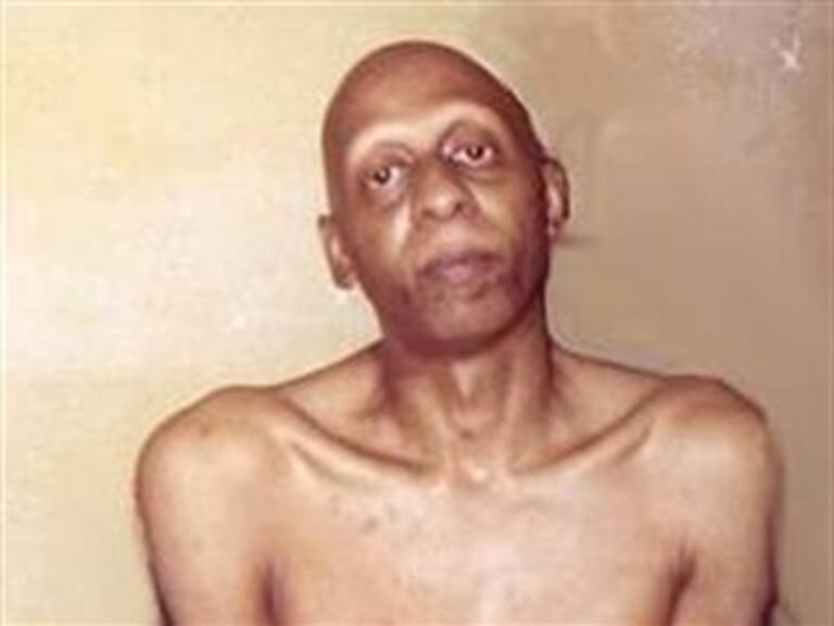 Chile abogará ante Cuba y ONU por Fariñas