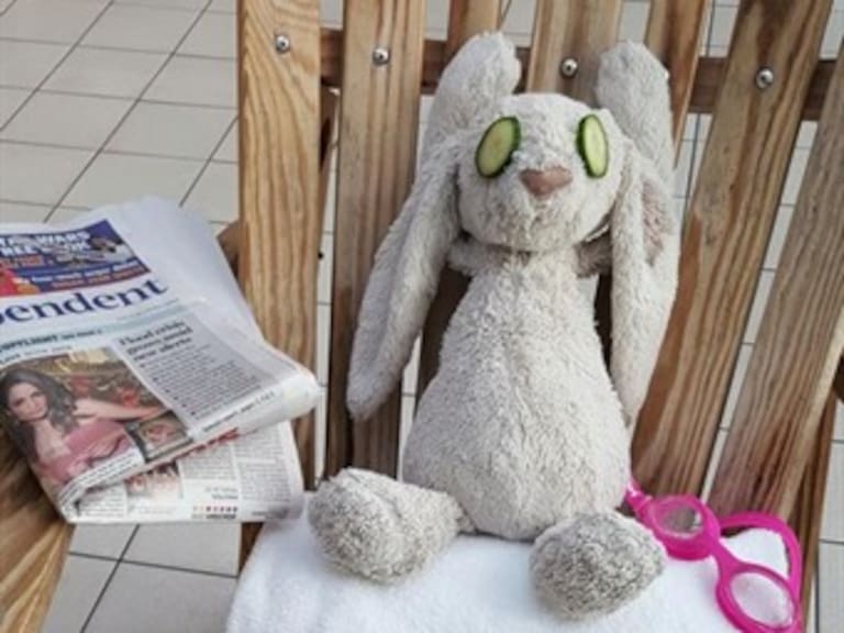 Hotel convierte en invitado de lujo a un conejo de peluche perdido