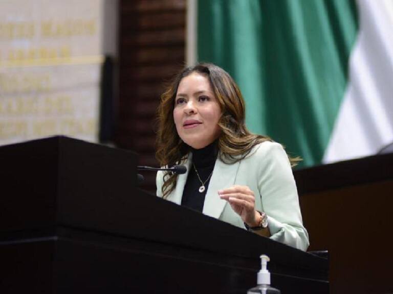 Líder del PVEM en la Cámara de Diputados exige mayor seguridad a la población este fin de año