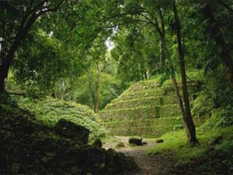 Aventura Eco Arqueológica en la Selva Maya 'Lobby W' con Fernanda Delgadillo
