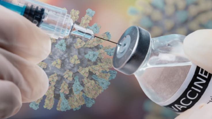 Vacuna contra el sarampión en adultos: ¿Nacidos entre 1977 y 2008 deben vacunarse? Checa si te toca