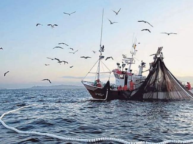 INAI abre datos pesqueros a Global Fishing Watch