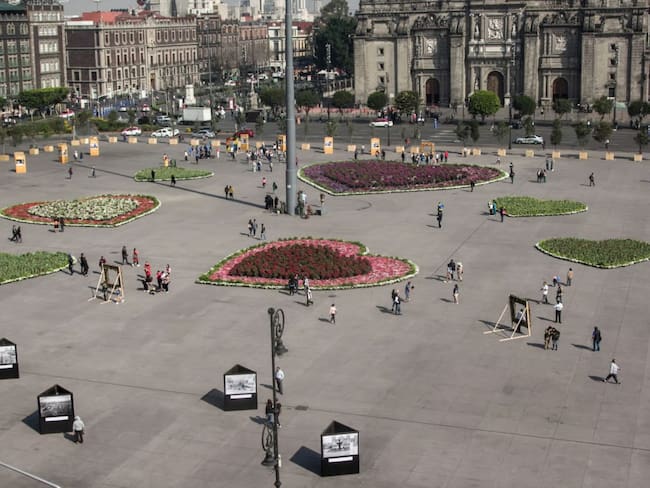 Jardín del Buen Amor GRATIS en el Zócalo CDMX: guía completa para planear tu visita en febrero 2026