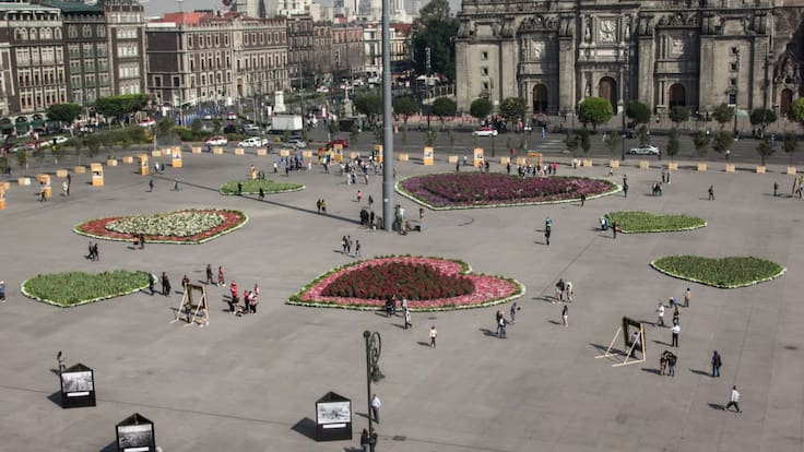 Jardín del Buen Amor GRATIS en el Zócalo CDMX: guía completa para planear tu visita en febrero 2026