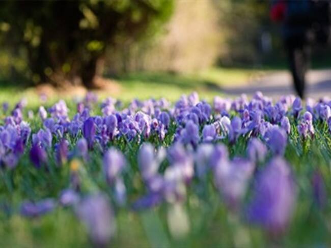 Comenzó la primavera. La Reata' del miércoles 20 de marzo