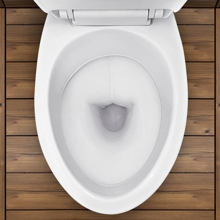 El truco casero y barato para eliminar muy fácil el círculo de sarro de la taza de baño