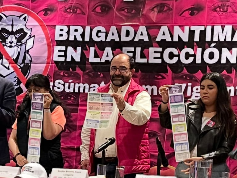 La Brigada Antimapache está integrada por organizaciones sociales que vigilaron la elección judicial.