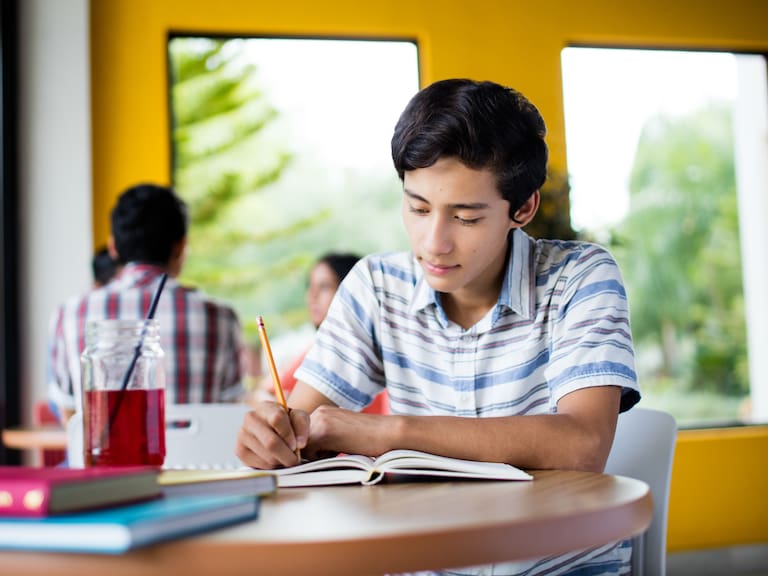 Será a mediados de diciembre de 2024 que se podrá realizar el trámite de inscripción.