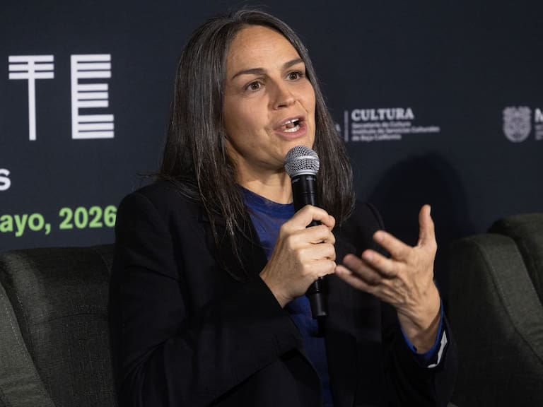 Cadena de valor en animación, ficción, series, documentales y postproducción en manos mexicanas será fortalecido con el incentivo fiscal, detalló la Directora general de IMCINE, Daniela Alatorre