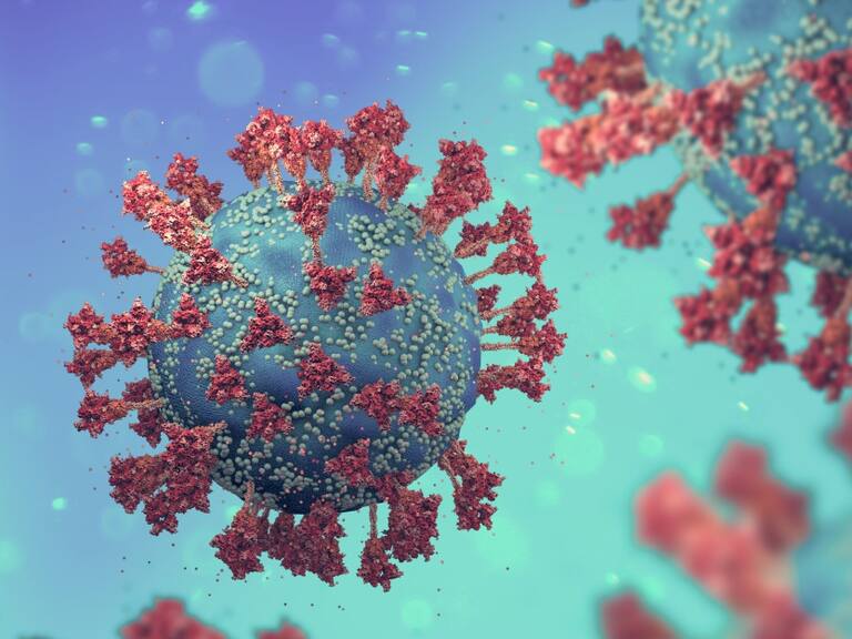 Perro del infierno: Nueva variante Covid; los síntomas y formas de contagio