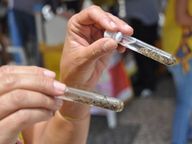 Reportan 14 nuevos casos de dengue en Jalisco