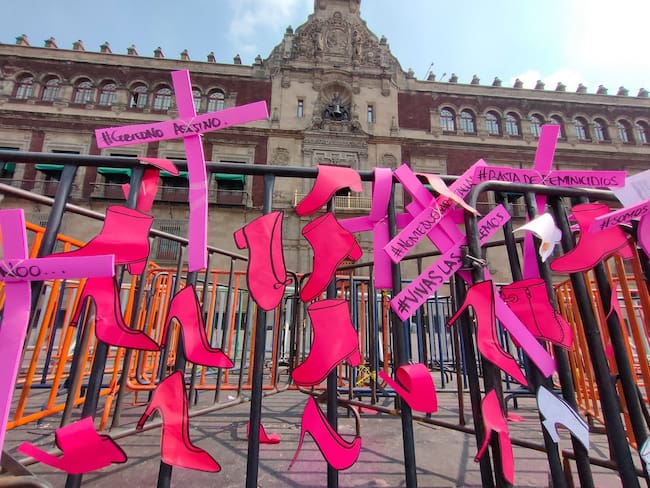 Feminicidios reflejan una realidad que ya no se puede ocultar en México: Ana Yeli Pérez Garrido