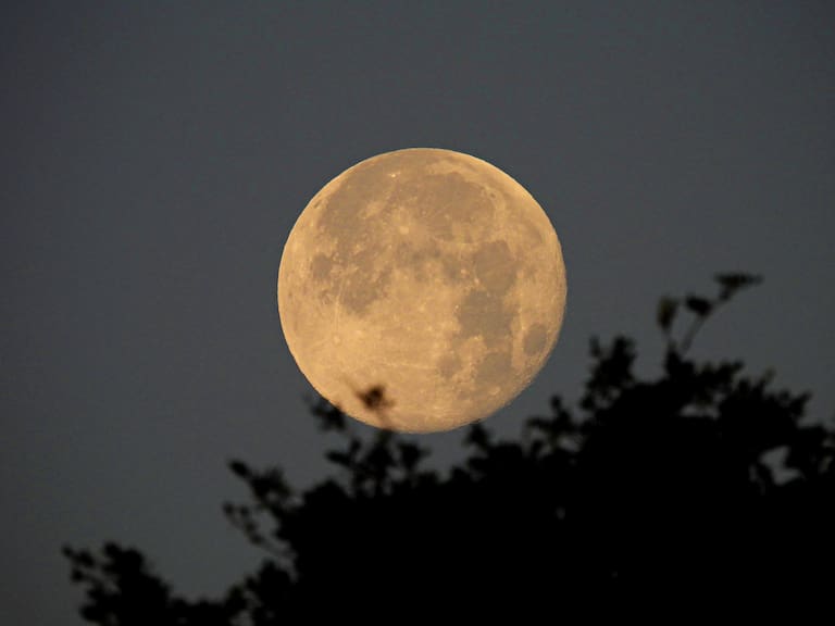La luna llena de mayo 2025 es conocida como “Luna de flores”, nombre que alude a la abundancia de flora que caracteriza al hemisferio norte en esta época del año.