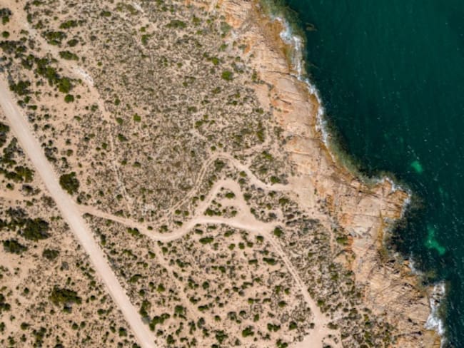 Las declaraciones de Sheinbaum tienen que ser congruentes con los presupuestos: Beatriz Olivera