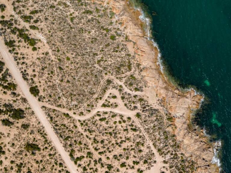 Las declaraciones de Sheinbaum tienen que ser congruentes con los presupuestos: Beatriz Olivera