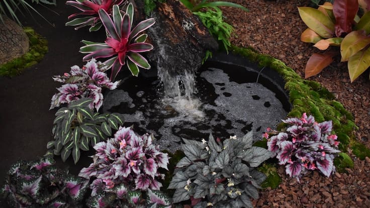 Jardín Floral de los Viveros de Coyoacán: el rincón de la CDMX donde las plantas son las protagonistas