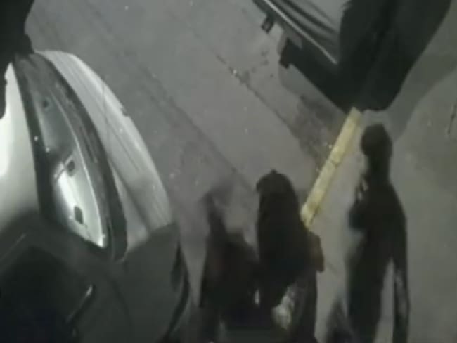 Hombre golpea con ladrillo a 2 mujeres que se besaban en Coyoacán | VIDEO