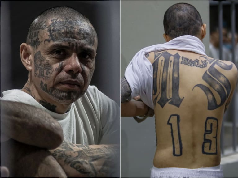 Integrantes de la Mara Salvatrucha (MS-13) fueron sentenciados a más de mil años de cárcel en El Salvador, por delitos como homicidio y extorsión.