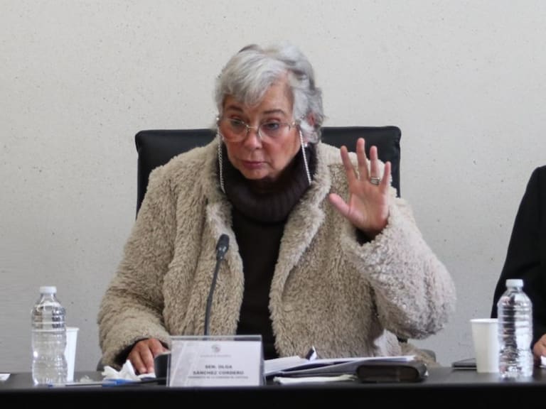 “Yo estoy en la fracción parlamentaria de Morena, tampoco yo puedo llegar a confrontarme tan abiertamente, puedo decir mi punto de vista estrictamente jurídico": Olga Sánchez.FOTO: ANDREA MURCIA /CUARTOSCURO.COM