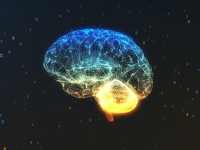 Qué pasa en el cerebro: coma, parálisis o muerte