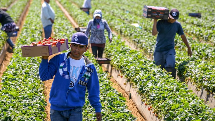 Jornada de 40 horas: empresarios hacen un llamado para evitar una crisis de empleo